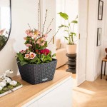 BACINO Cottage 30 Sand Brown 30x30x(H)18cm Self-Watering Planter-Cachepot LECHUZA Complete - Automatic Watering Square Planters