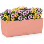 BALCONERA Color 50 Coral Red 50x19x19cm LECHUZA Self-Watering Planter & Window Box - Automatic Watering Planters