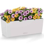 BALCONERA Color 50 Γκρι Ανοιχτό 50x19x19cm LECHUZA Αυτοποτιζόμενη Ζαρντινιέρα & Κασπώ - Αυτοποτιζόμενες Ζαρντινιέρες 