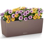 BALCONERA Color 50 Nutmeg 50x19x19cm LECHUZA Self-Watering Planter & Window Box - Automatic Watering Planters