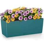 BALCONERA Color 50 Petrol Blue 50x19x19cm LECHUZA Self-Watering Planter & Window Box - Automatic Watering Planters