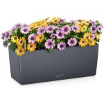 BALCONERA Color 50 Slate 50x19x19cm LECHUZA Self-Watering Planter & Window Box - Automatic Watering Planters