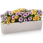 BALCONERA Color 80 Καφέ Άμμου 79x19x19cm LECHUZA Αυτοποτιζόμενη Ζαρντινιέρα & Κασπώ - Αυτοποτιζόμενες Ζαρντινιέρες 