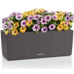 BALCONERA Stone 50 Black Self-Watering Planter 50x19x19cm LECHUZA - Rectangular Planters & Planter Boxes