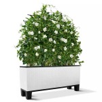Pedestals for TRIO 30 Self-Watering Planters - Lechuza Pedestals for TRIO 30 Self-Watering Planter - Lechuza