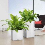 CANTO Premium Low 40 Αυτοποτιζόμενη Γλάστρα LECHUZA