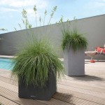 CANTO Stone 40 Low Lechuza Complete Self-Watering Planter