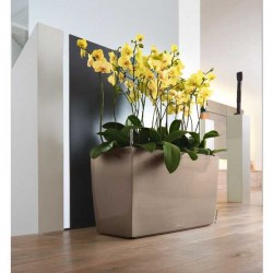 Rectangular Planter 75x30x(H)42.5cm LECHUZA CARARO 75 Premium Self-Watering with Casters Rectangular Planter 75x30x(H)42.5cm Self-Watering CARARO 75