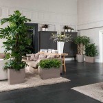 Ζαρντινιέρες Δαπέδου 75x30x(Υ)42,5cm LECHUZA CARARO