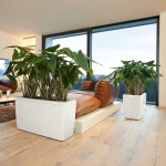 Ζαρντινιέρες Δαπέδου 75x30x(Υ)42,5cm LECHUZA CARARO