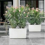 Ζαρντινιέρες Δαπέδου 75x30x(Υ)42,5cm LECHUZA CARARO