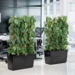 Ζαρντινιέρες Δαπέδου 75x30x(Υ)42,5cm LECHUZA CARARO