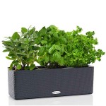 CUBE Color Triple Slate 40x14x14cm Self-Watering Planter with Brackets LECHUZA - Urban Gardening & Automatic Watering Planters