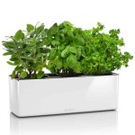 CUBE Glossy Triple White 40x14x14cm Self-Watering Planter-Cachepot LECHUZA - Urban Gardening & Automatic Watering Planters