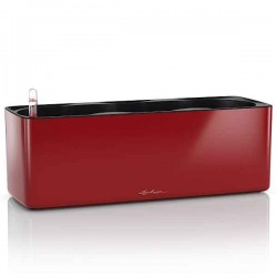 CUBE Glossy Triple Κόκκινο Σκάρλετ Ζαρντινιέρα Αυτοποτιζόμενη CUBE Glossy Triple Κόκκινο Σκάρλετ 40x14x14cm Ζαρντινιέρα Αυτοποτιζόμενη LECHUZA - Αυτοποτιζόμενες Ζαρντινιέρες-Κασπώ Εσωτερικών Χώρων