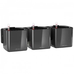 Green Wall Home Kit Glossy LECHUZA Ανθρακί Γκρι Γλάστρα Αυτοποτιζόμενη Ανθρακί Γκρι Γλάστρα Τοίχου Green Wall Home Kit Glossy LECHUZA - Κάθετος Κήπος & Αυτοποτιζόμενες Τετράγωνες Γλάστρες