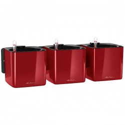 Green Wall Home Kit Glossy LECHUZA Γλάστρα Κόκκινο Σκάρλετ Αυτοποτιζόμενη Κόκκινο Σκάρλετ Γλάστρα Τοίχου Green Wall Home Kit Glossy LECHUZA - Κάθετος Κήπος & Αυτοποτιζόμενες Τετράγωνες Γλάστρες