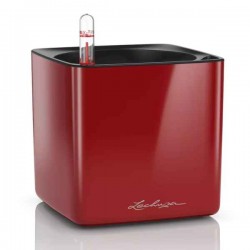 CUBE Glossy 14 Scarlet Red LECHUZA Self-Watering Planter CUBE Glossy 14 Scarlet Red 14x14x14cm LECHUZA Self-Watering Planter - Automatic Watering Planters