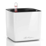 CUBE Glossy 14 Λευκή 14x14x14cm LECHUZA Αυτοποτιζόμενη Τετράγωνη Γλάστρα - Αυτοποτιζόμενες Τετράγωνες Γλάστρες 