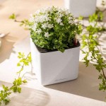 CUBE Glossy 16 Λευκή 17x17x16cm LECHUZA Αυτοποτιζόμενη Τετράγωνη Γλάστρα - Αυτοποτιζόμενες Τετράγωνες Γλάστρες 