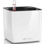 CUBE Glossy 16 Λευκή 17x17x16cm LECHUZA Αυτοποτιζόμενη Τετράγωνη Γλάστρα - Αυτοποτιζόμενες Τετράγωνες Γλάστρες 