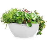 CUBETO Stone 30 Λευκή Δ30x13cm Γλάστρα-Λεκάνη Αυτοποτιζόμενη & Κασπώ LECHUZA - Λεκανοειδείς Αυτοποτιζόμενες Γλάστρες