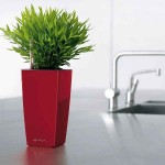 CUBI Maxi Scarlet Red 14x14x26cm Self-Watering Planter-Cachepot LECHUZA Complete - Automatic Watering Square Planters
