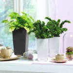 CUBI Maxi Scarlet Red 14x14x26cm Self-Watering Planter-Cachepot LECHUZA Complete - Automatic Watering Square Planters