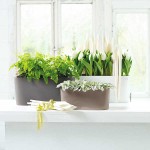 DELTA 20 White 40x15x18cm Self-Watering Planter