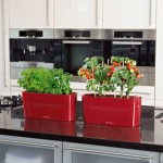 DELTA 20 Red 40x15x18cm Self-Watering Planter