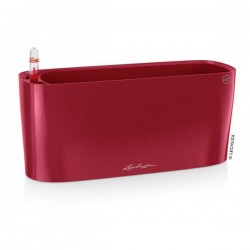 DELTA 10 Κόκκινη 30x11x13cm Lechuza Αυτοποτιζόμενη Ζαρντινιέρα-Κασπώ Αυτοποτιζόμενη Ζαρντινιέρα DELTA 10 Κόκκινη 30x11x13cm