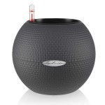 Αυτοποτιζόμενες Γλάστρες Lechuza Ø20x16cm PURO Color 20