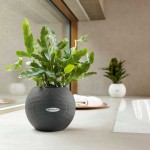 Αυτοποτιζόμενες Γλάστρες Lechuza Ø20x16cm PURO Color 20