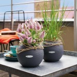 Αυτοποτιζόμενες Γλάστρες Lechuza Ø20x16cm PURO Color 20