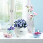 Αυτοποτιζόμενες Γλάστρες Lechuza Ø20x16cm PURO Color 20