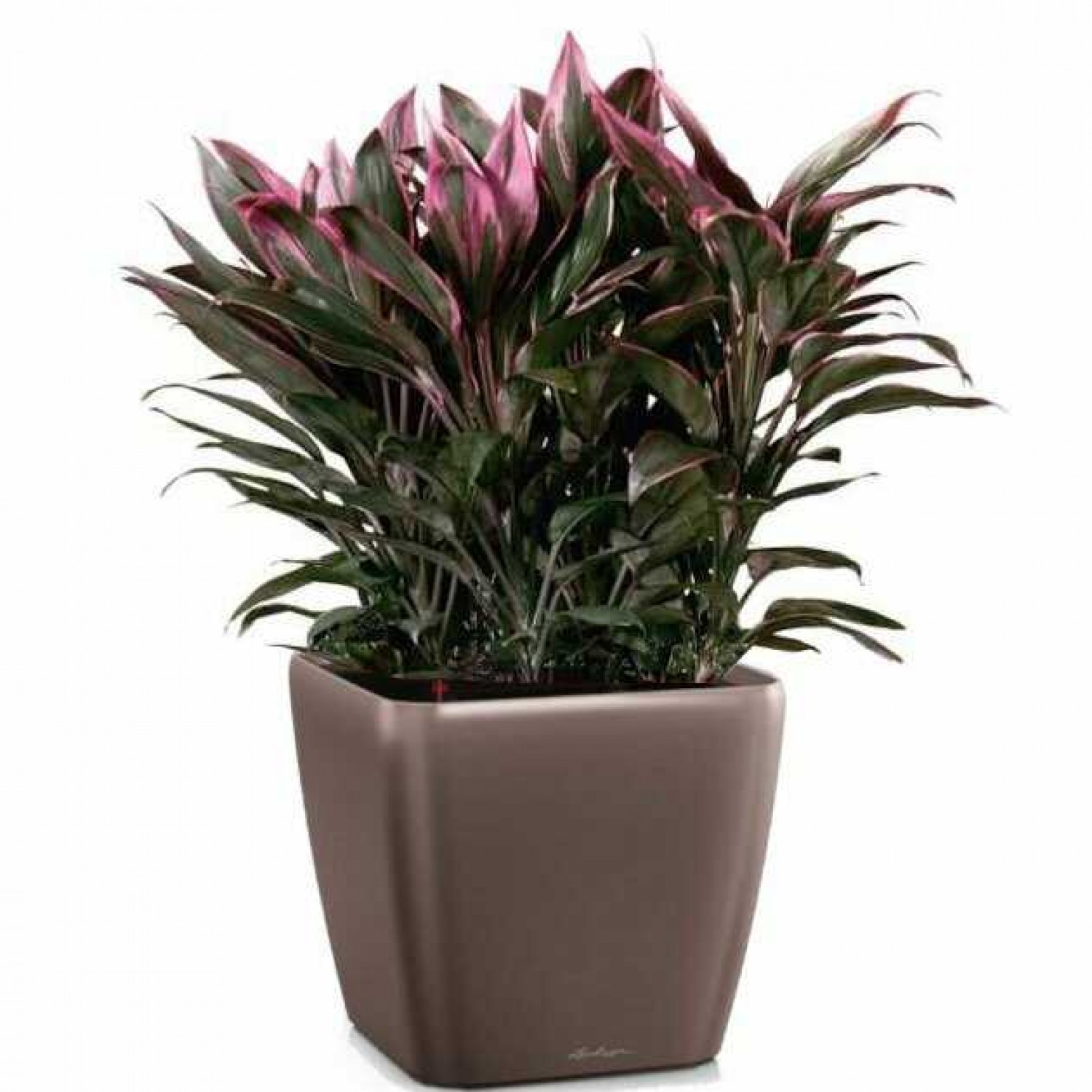 Επιτραπέζιες Γλάστρες 35,5x35,5x(Υ)32,5cm QUADRO LS 35