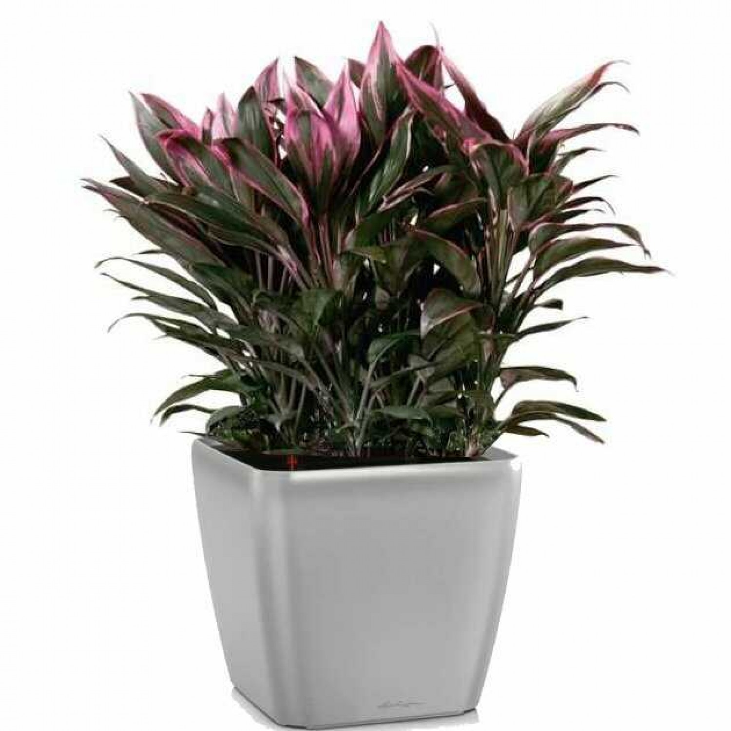 Επιτραπέζιες Γλάστρες 43x43x(Υ)39cm QUADRO LS 43 