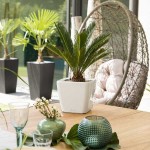 Square Planter 50x50x(H)46.5cm QUADRO LS 50 Premium LECHUZA Self-Watering Square Planters 50x50x(H)46.5cm QUADRO LS 50
