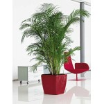 Square Planter 50x50x(H)46.5cm QUADRO LS 50 Premium LECHUZA Self-Watering Square Planters 50x50x(H)46.5cm QUADRO LS 50