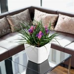 Square Planter 50x50x(H)46.5cm QUADRO LS 50 Premium LECHUZA Self-Watering Square Planters 50x50x(H)46.5cm QUADRO LS 50