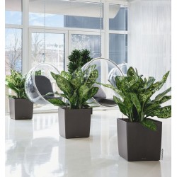 Self-Watering Plastic Planter CUBE 30    Self-Watering Plastic Planters CUBE 30 | kipogeorgiki.gr
