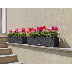 Self-Watering Plastic Window-box Planters Lechuza BALCONERA Cottage 80  Self-Watering Plastic Planters Lechuza BALCONERA Cottage 80