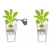 Self-Watering Planters
