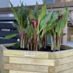 Wooden Hexagonal Pot 56(H)xΦ65cm - Pots & Planters