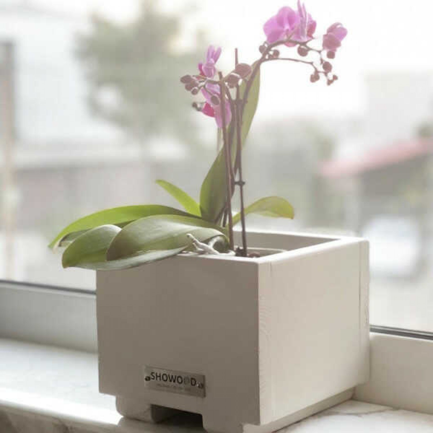 Planter - Cachepot White-Beige 15(H)x18x18cm - Impregnated Wooden Pots & Planters Planter - Cachepot White-Beige 15(H)x18x18cm Impregnated
