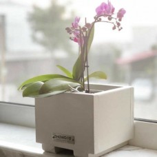 Planter - Cachepot White-Beige 15(H)x18x18cm Impregnated 
