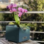 Planter - Cachepot Green 15(H)x18x18cm - Impregnated Wooden Pots & Planters Planter - Cachepot Green 15(H)x18x18cm Impregnated