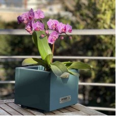 Planter - Cachepot Green 15(H)x18x18cm Impregnated 