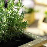 Wooden Square Planter with Laths 70(H)x50x50cm - Planters