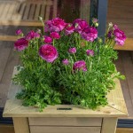 Ξύλινη Γλάστρα Κωνική 77(Υ)x65x65cm - Εμποτισμένες Τετράγωνες Ξύλινες Γλάστρες Ξύλινη Γλάστρα Κωνική 77(Υ)x65x65cm - Ξύλινες Γλάστρες